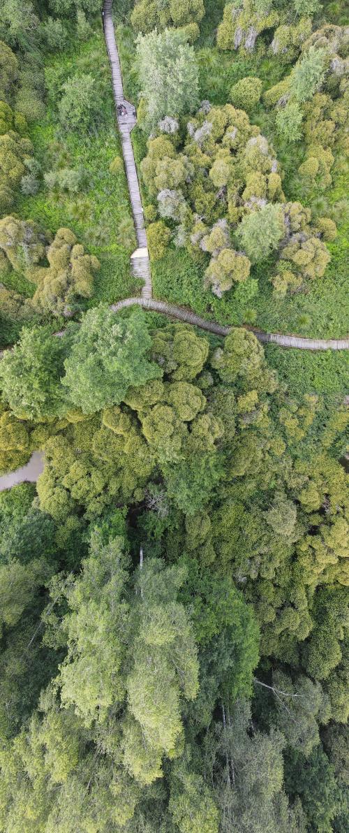 DJI_3051.JPG
